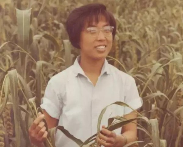 服务江青的最后一任护士回忆：1976年江青被抓时我在场，她很镇定