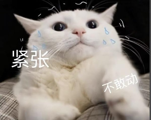 再查一遍！今年丢准考证的高考生已出现……