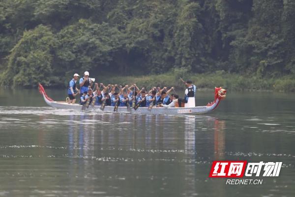 端午龙舟赛事热度拉满 千年风骨竞速资江