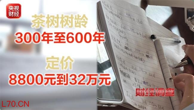 卖茶直播间27位茶农20个是演员 古树茶骗局再曝光